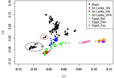 Detection of Selection Signatures Among Brazilian, Sri Lankan, and Egyptian Chicken Populations Under Different Environmental Conditions